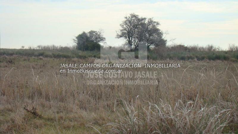 Campo en Venta