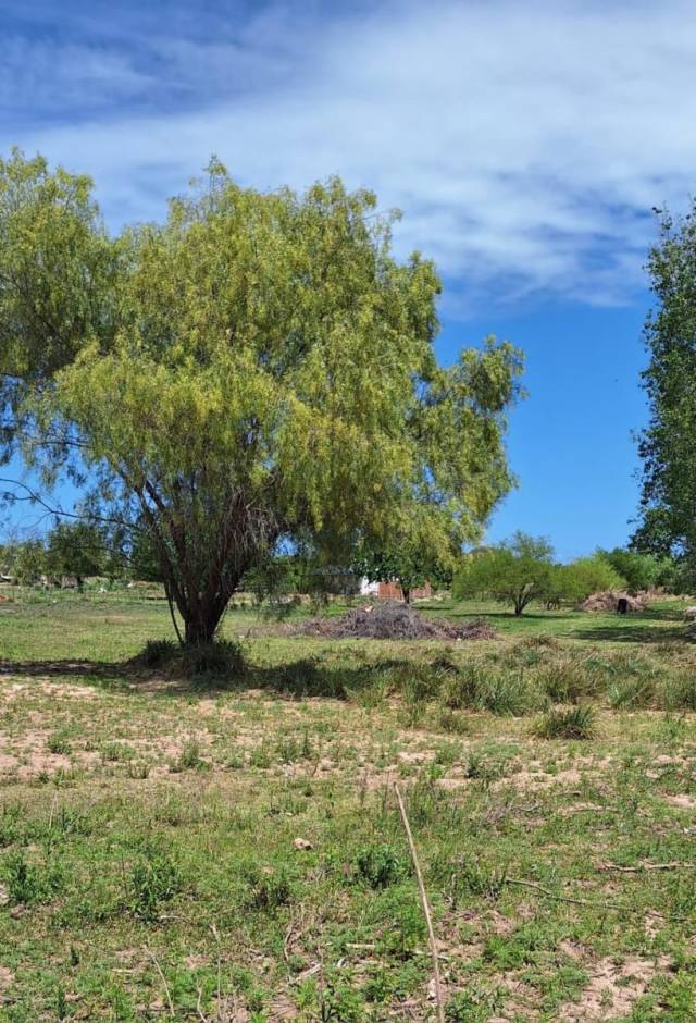 LOTE VICTORIA ENTRE RIOS ZONA TERMAS