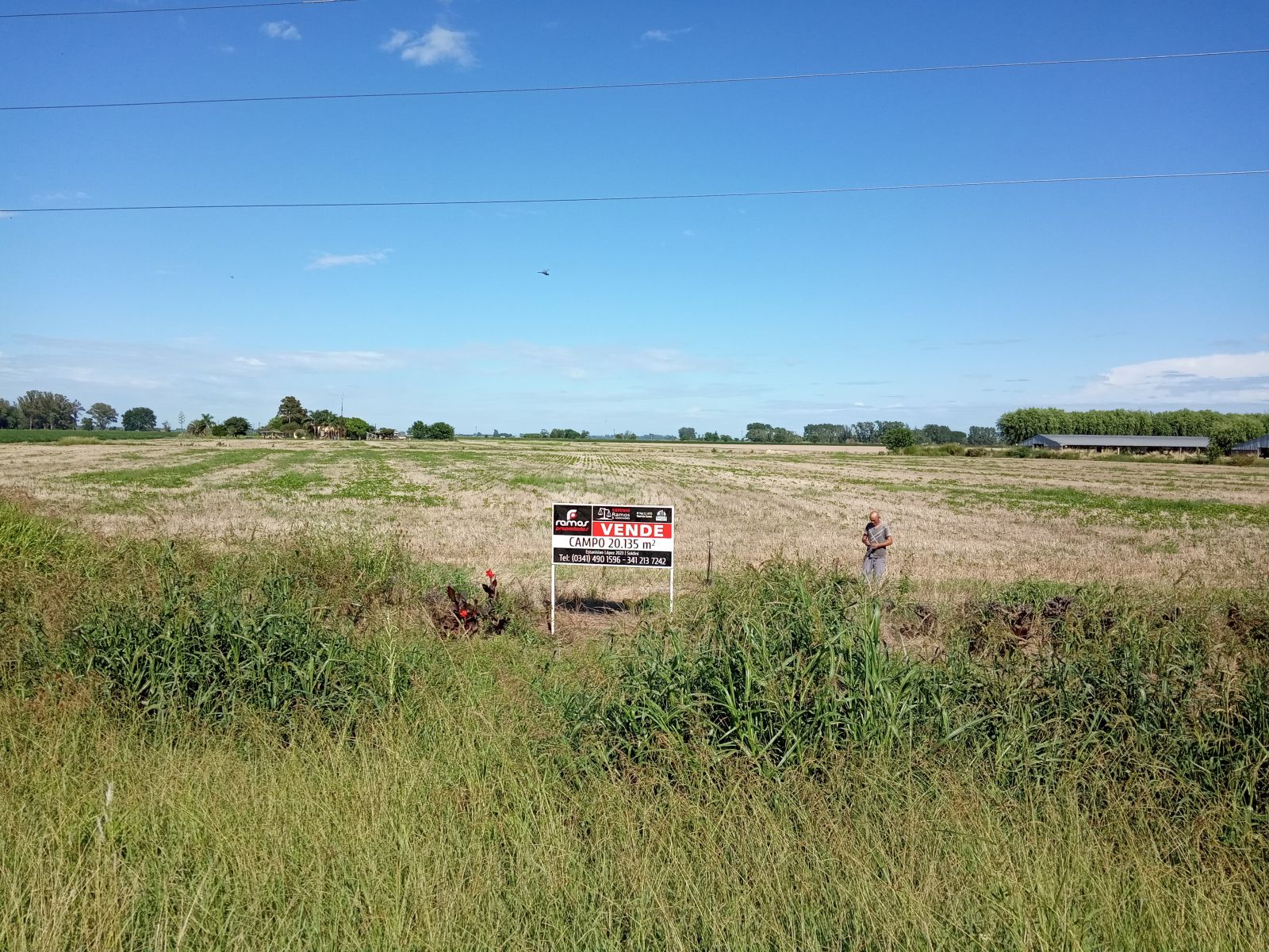 VENDE CAMPO EN SOLDINI